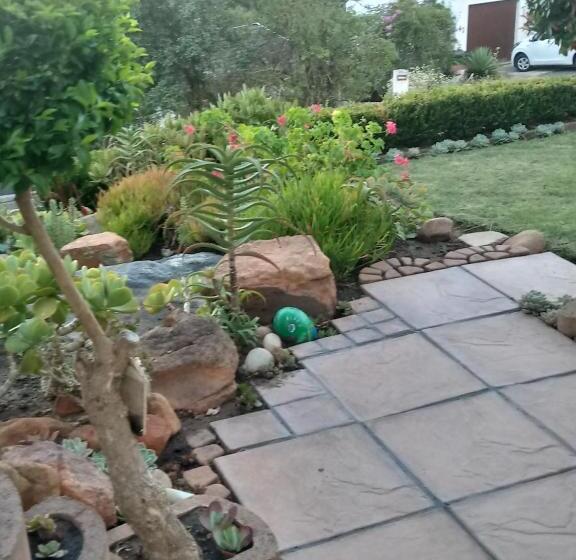 إستوديو قياسى مطل على البحر, Froggy Bay Is The Best All The Way!