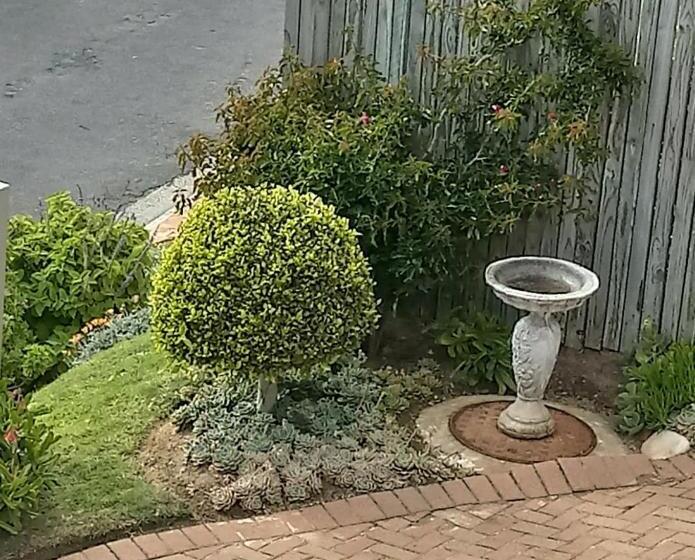 إستوديو قياسى مطل على البحر, Froggy Bay Is The Best All The Way!