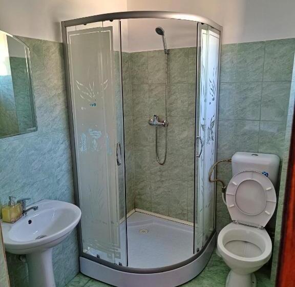 스탠다드 룸, Pensiunea Agroturistica Ica