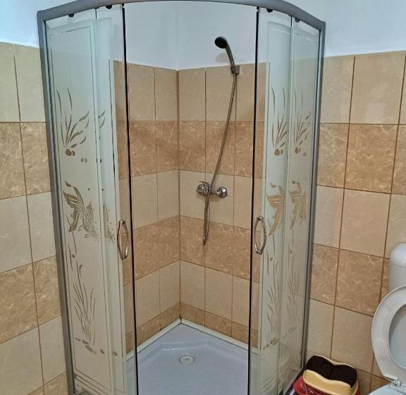 스탠다드 발코니 룸, Pensiunea Agroturistica Ica