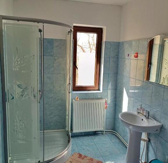 스탠다드 발코니 룸, Pensiunea Agroturistica Ica