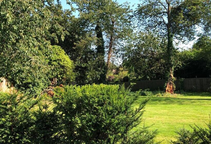 标准单人间, Caynham Court