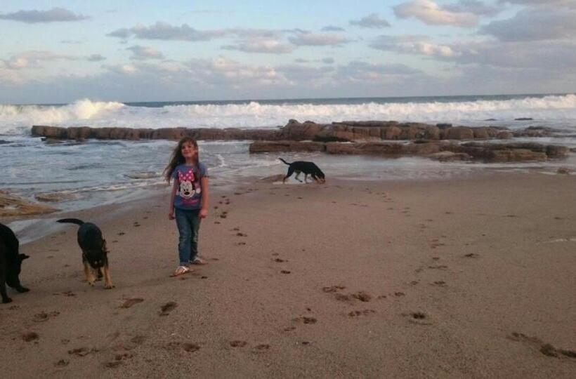 חדר סטנדרט נוף לים, Bottlenose B&b