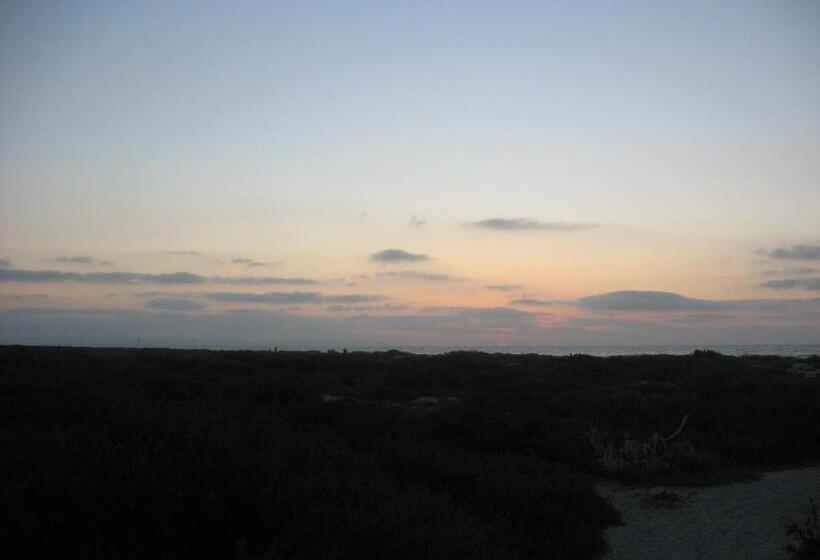 חדר דלוקס צדדי נוף לים, Bottlenose B&b