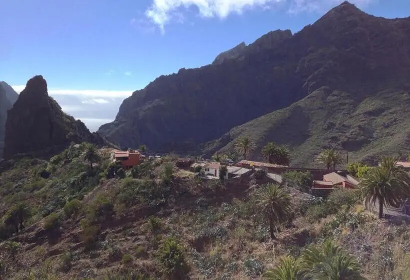 اتاق استاندارد یک تخته با سرویس بهداشتی مشترک, Wifi Tenerife Sur Guest House