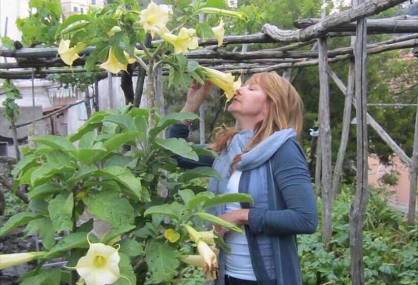 חדר סטנדרט עם מרפסת, Dint A Torre Bed And Breakfast