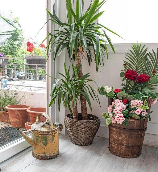 سوییت لوکس, Porto Je T Aime   Sweet Rooms