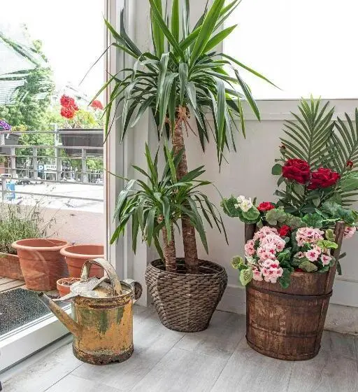 سوییت لوکس, Porto Je T Aime   Sweet Rooms