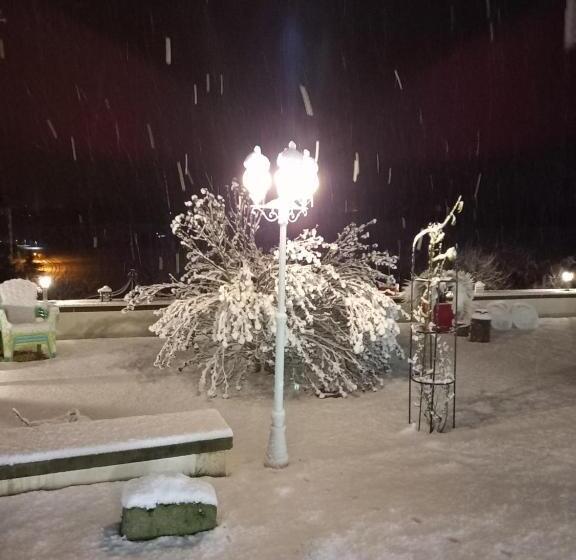 스탠다드 룸, Montismaurelli