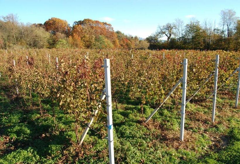 דירת שני חדרים, Laghi D Insubria