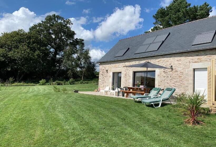 شقة غرفة نوم واحدة بالطابق الأرضى, Kerrouz