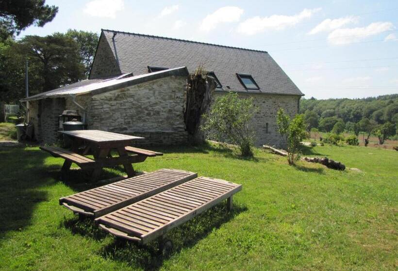 شقة غرفة واحدة, Kerrouz