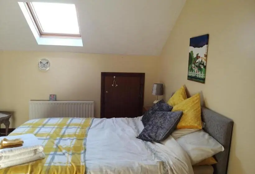 اتاق اکونومی, Antrim Heights Bnb