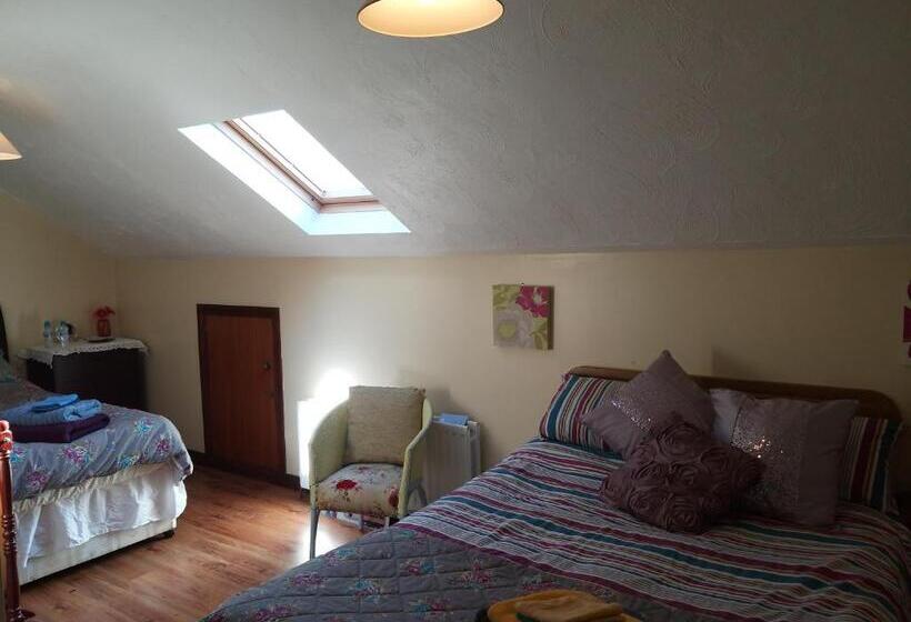 이코노미 룸, Antrim Heights Bnb