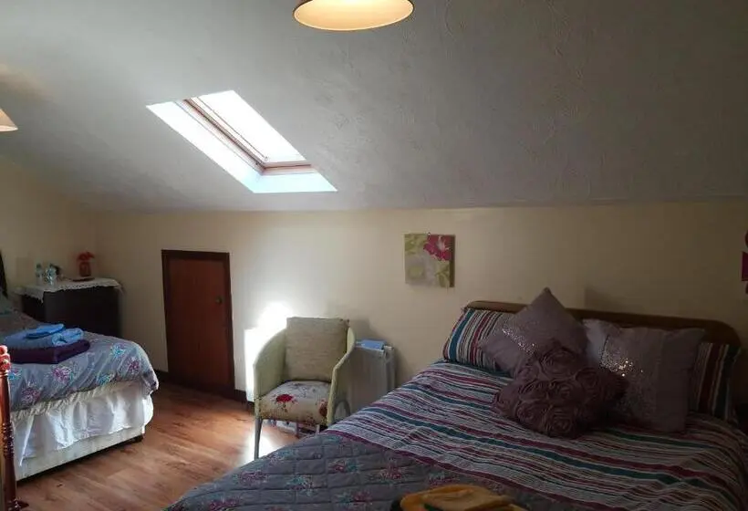 اتاق اکونومی, Antrim Heights Bnb