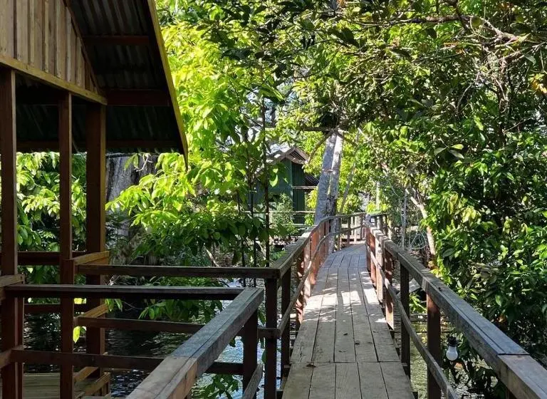 Habitació Deluxe, Amazônia Exxperience