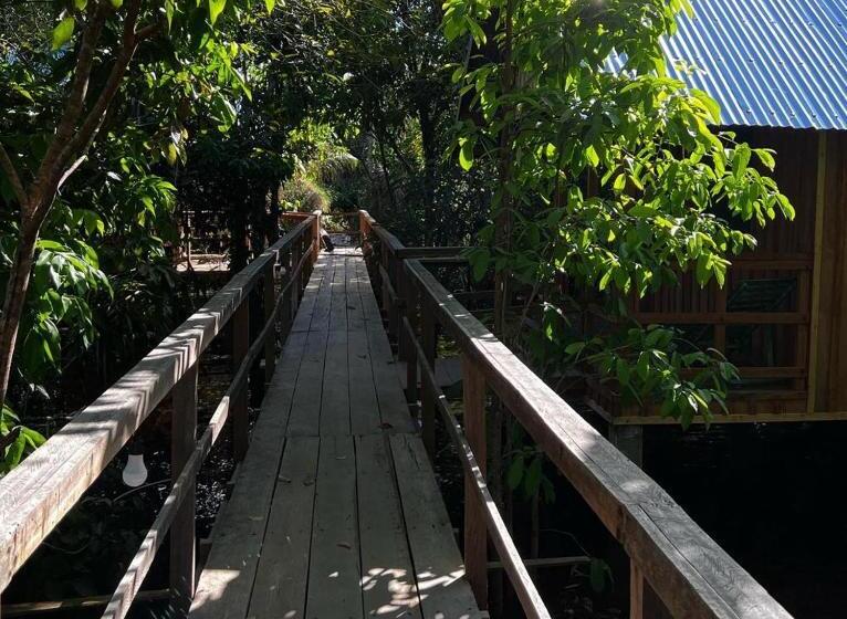 シャレー1寝室, Amazônia Exxperience