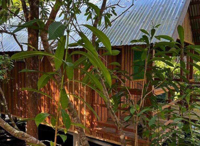 スタンダードトリプルルーム, Amazônia Exxperience