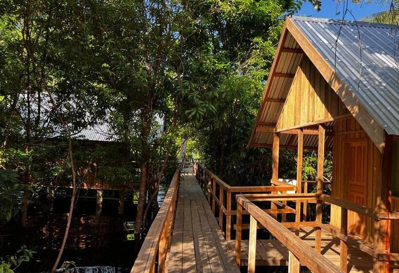 스탠다드 트리플 룸, Amazônia Exxperience