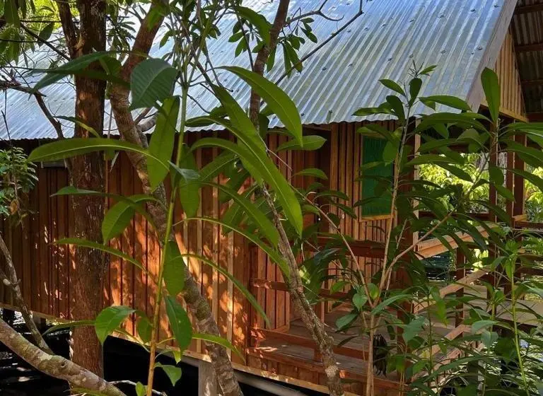 Bungalow Familiar, Amazônia Exxperience