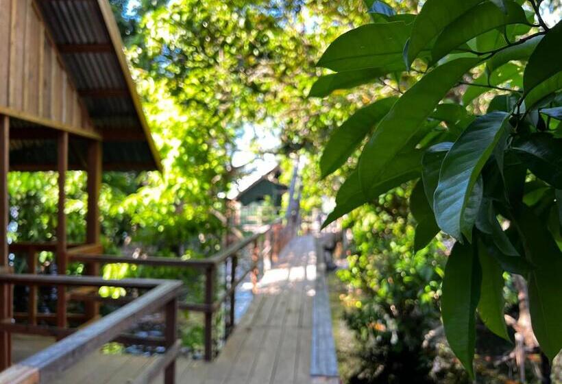 シャレー1寝室, Amazônia Exxperience