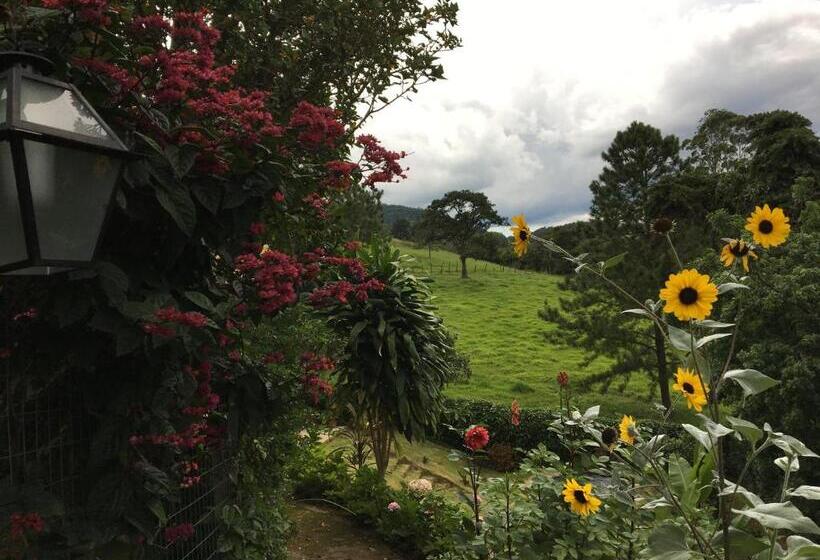 豪华套房, Luxor Flat`s