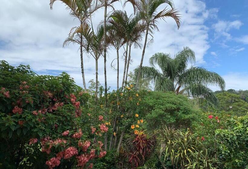 豪华工作室, Luxor Flat`s