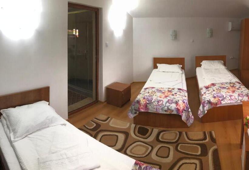 غرفة ديلوكس, Pensiunea Calea Targovetilor