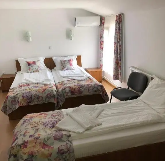 Basic Kolmen Hengen Huone, Pensiunea Calea Targovetilor