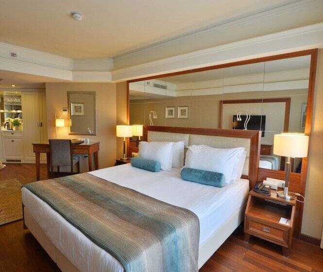 اتاق اکونومی, Marigold Thermal & Spa Hotel Bursa