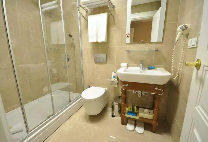Standard Single Room, Neorion Hotel   Special Class