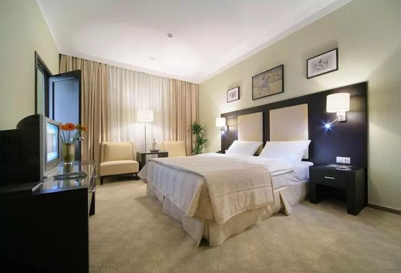 استودیوی استاندارد, Business Hotel Senator