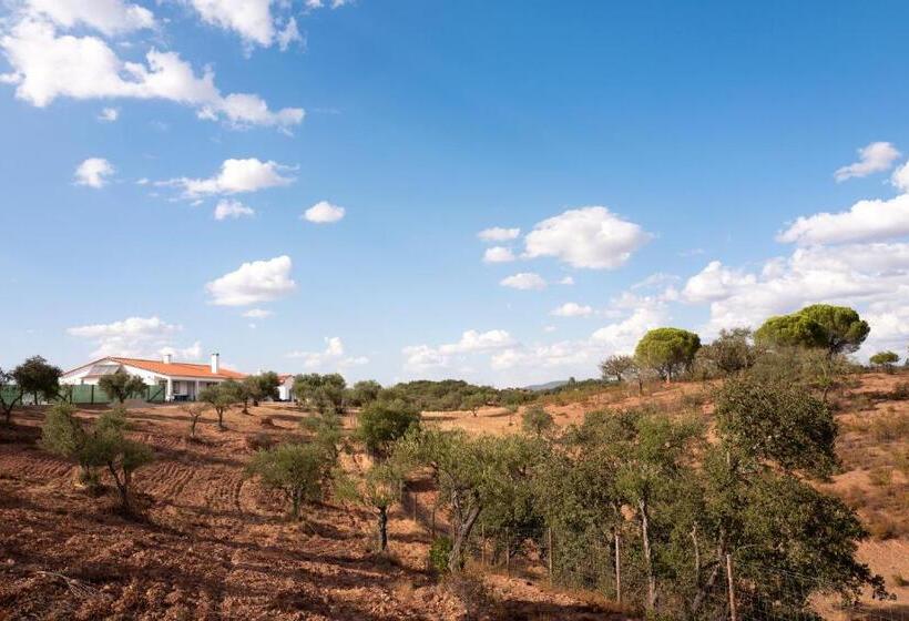 Номер Стандарт, Monte Anna