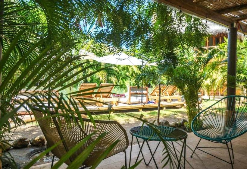 带阳台的三人标准间, Gallo De Mar