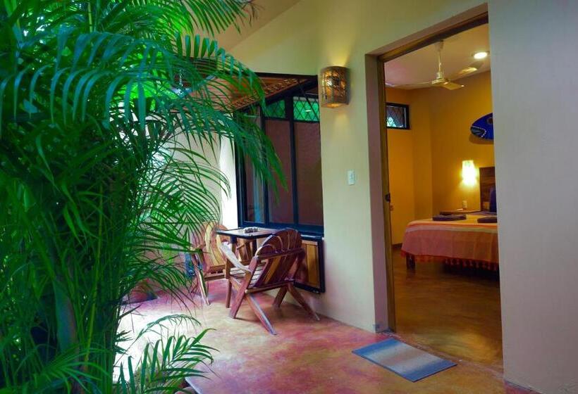 标准间, Gallo De Mar