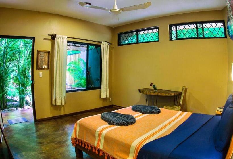 标准间, Gallo De Mar