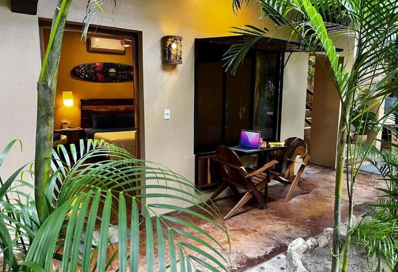 标准间, Gallo De Mar