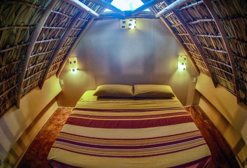 带2个双人床的标准工作室, Gallo De Mar