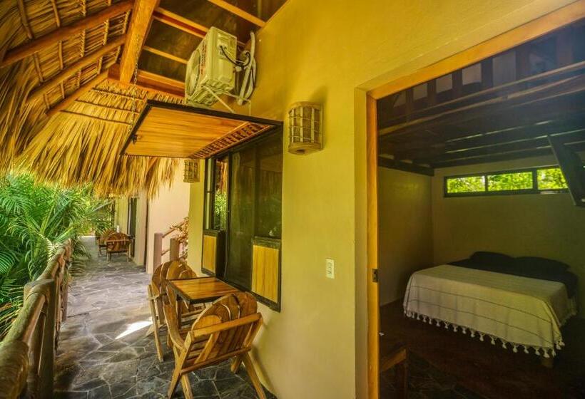 带2个双人床的标准工作室, Gallo De Mar