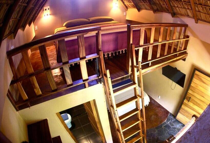 带2个双人床的标准工作室, Gallo De Mar