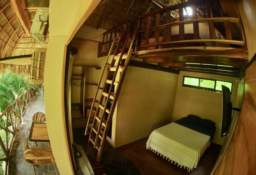 带2个双人床的标准工作室, Gallo De Mar