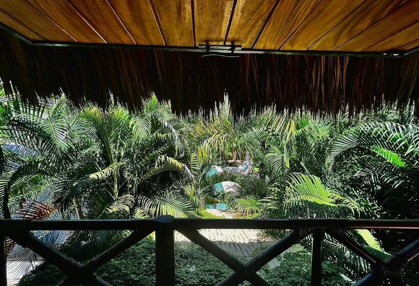 带2个双人床的标准工作室, Gallo De Mar