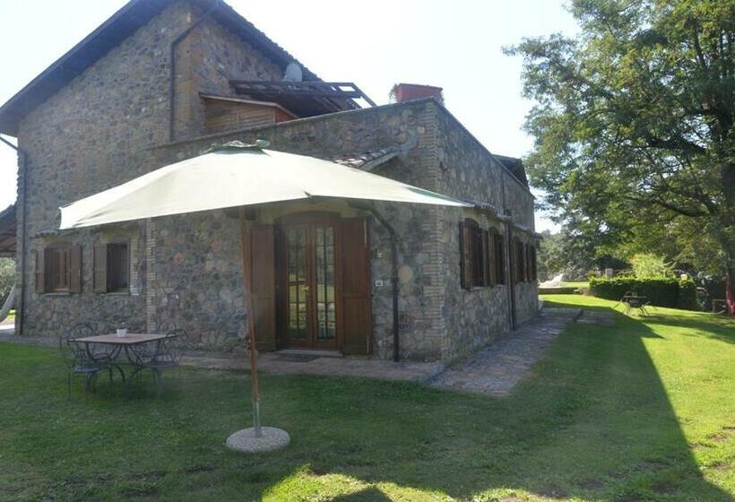 דירת שני חדרים, Il Palluccaro