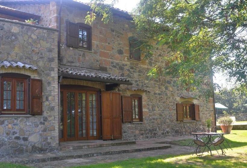 דירת שני חדרים, Il Palluccaro