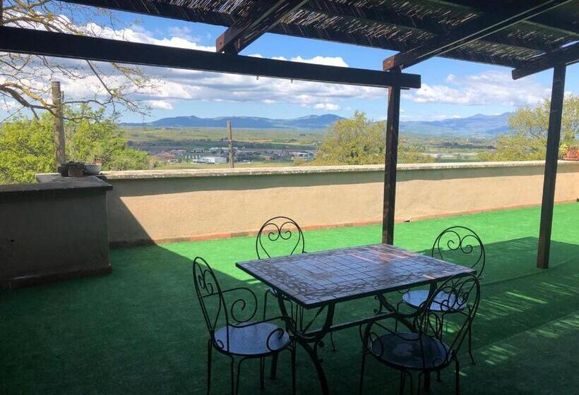 דירת שני חדרים, Il Palluccaro