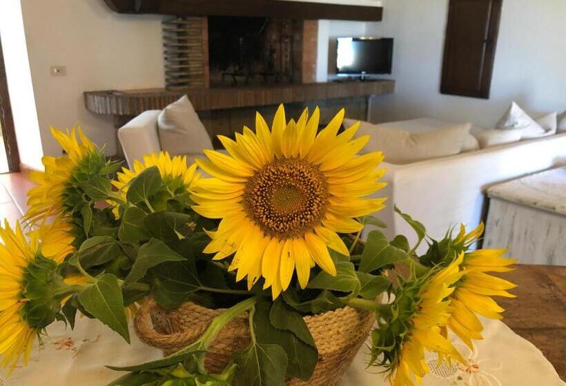 דירת שני חדרים, Il Palluccaro