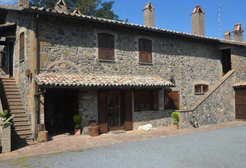 דירת חדר, Il Palluccaro