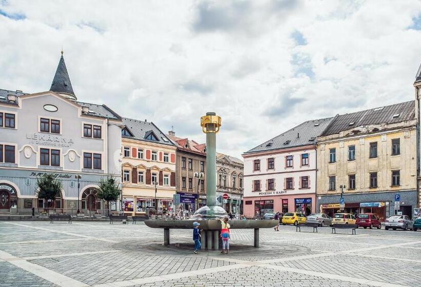 침실 2개 디럭스 아파트, Skodova Apartments