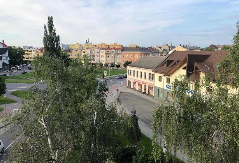 Апартаменты Deluxe 3 Спальни Вид на Море, Skodova Apartments