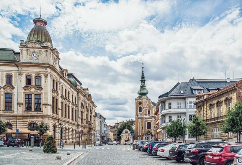 침실 1개 수피리어 아파트, Skodova Apartments